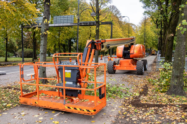 Manutenção em tesoura elétrica valor